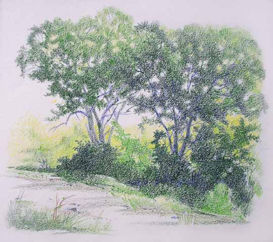 Color Pencil by Rahul Deshpande